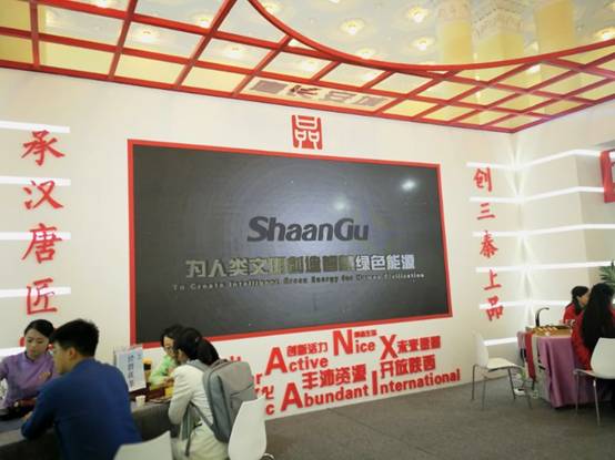 尊龙凯时集团参展首届中国自主品牌展览会智慧绿色计划获关注